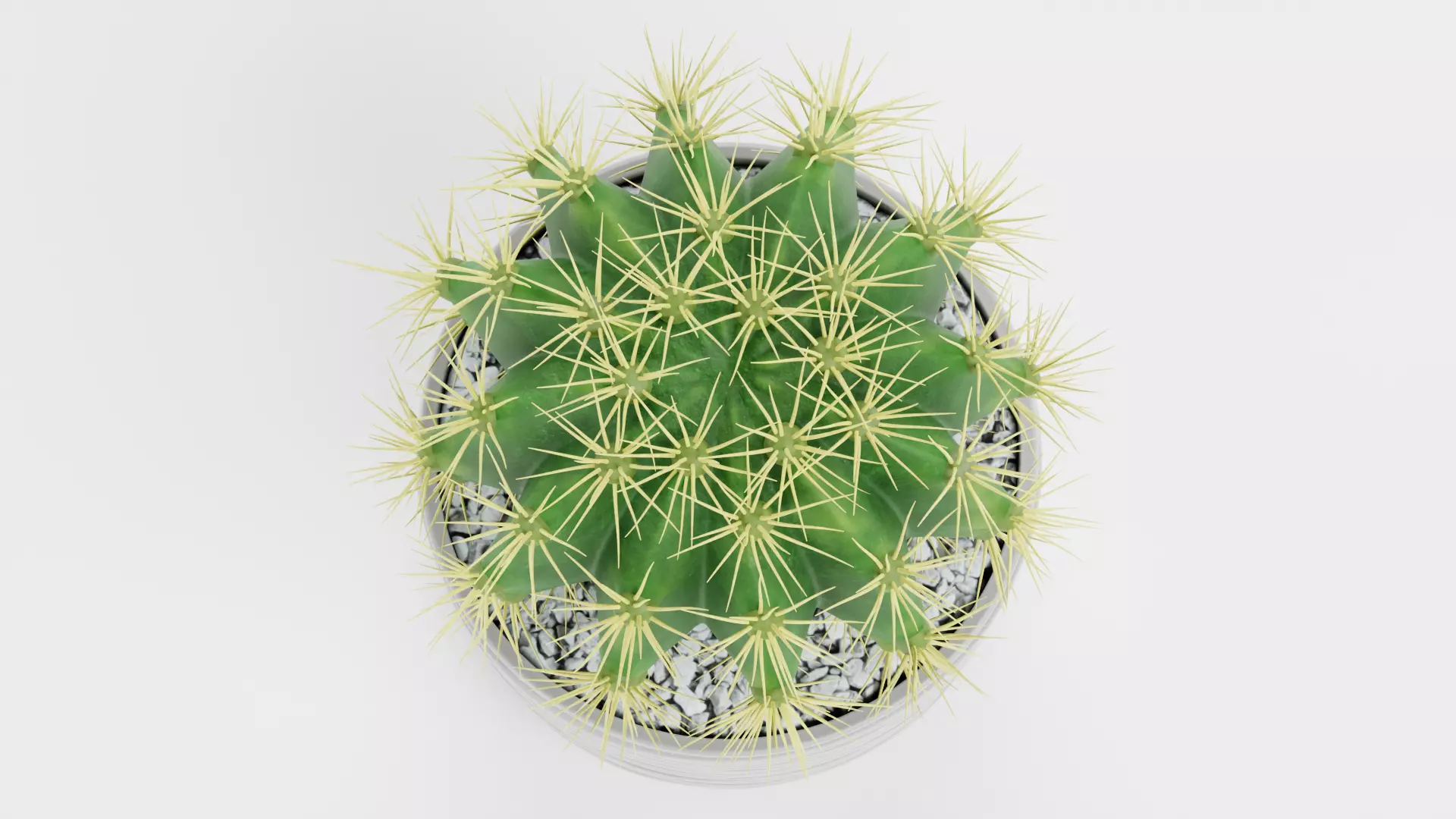 Golden Barrel Cactus in Pot Low-poly 3D model_5