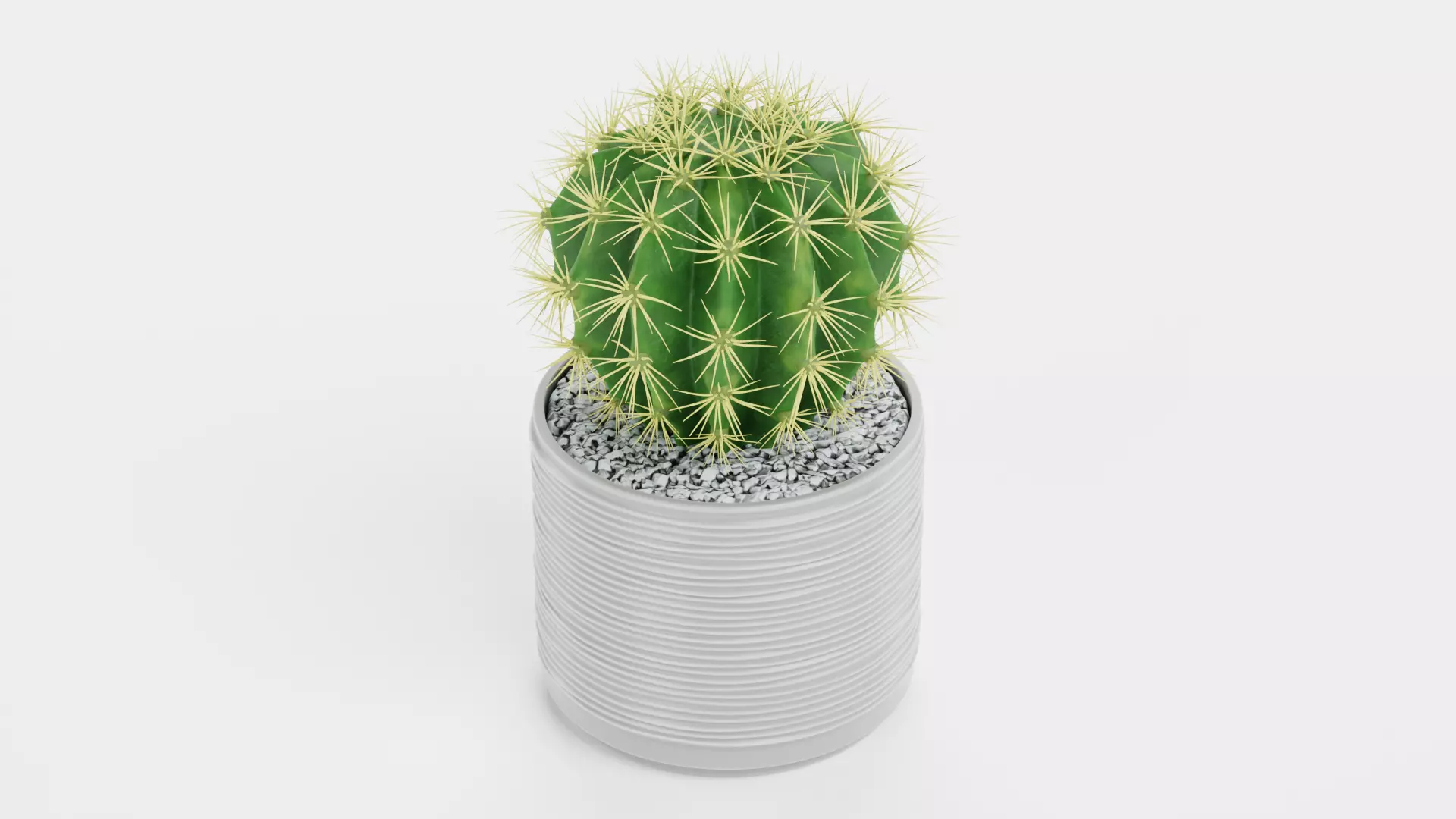 Golden Barrel Cactus in Pot Low-poly 3D model_3