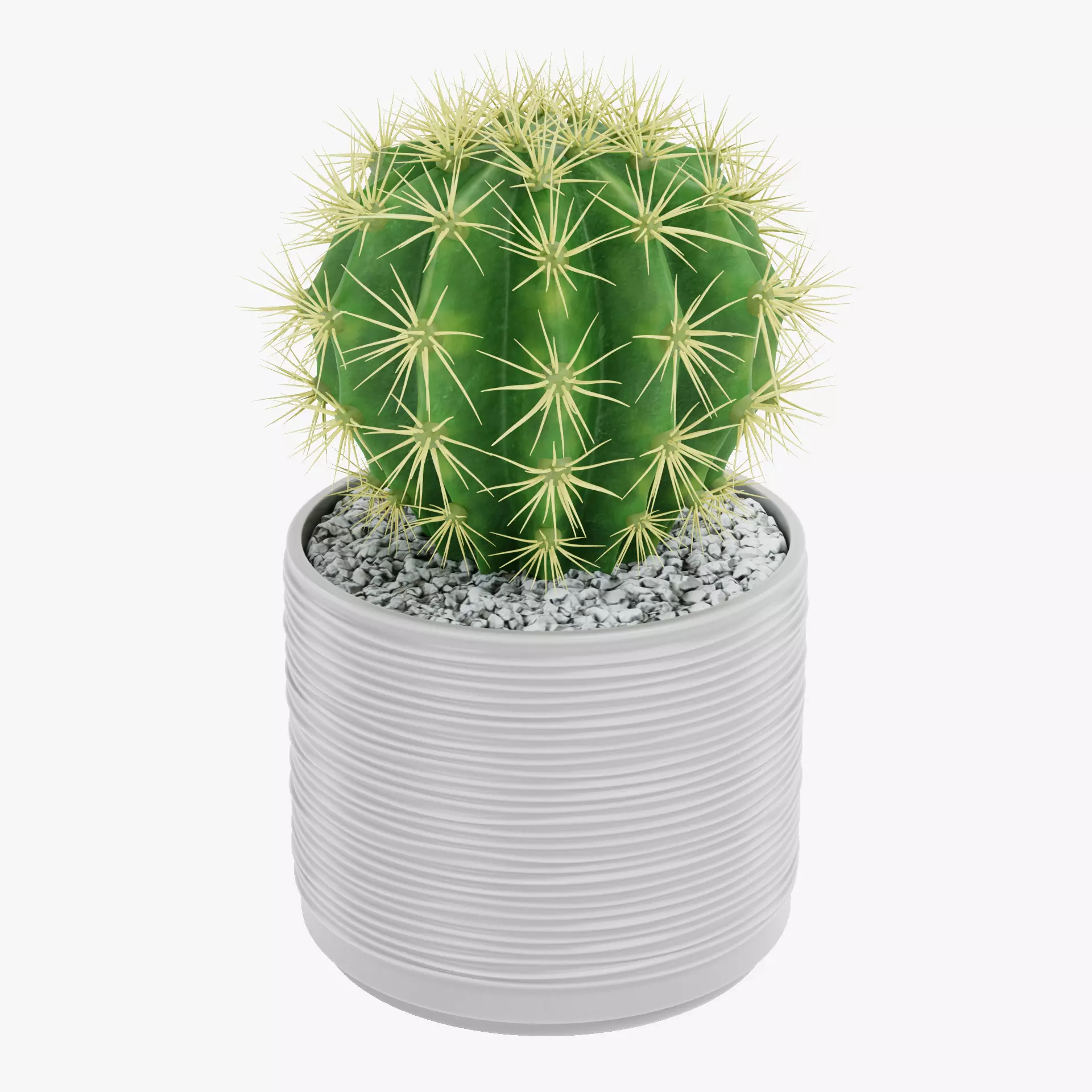 Golden Barrel Cactus in Pot Low-poly 3D model_11