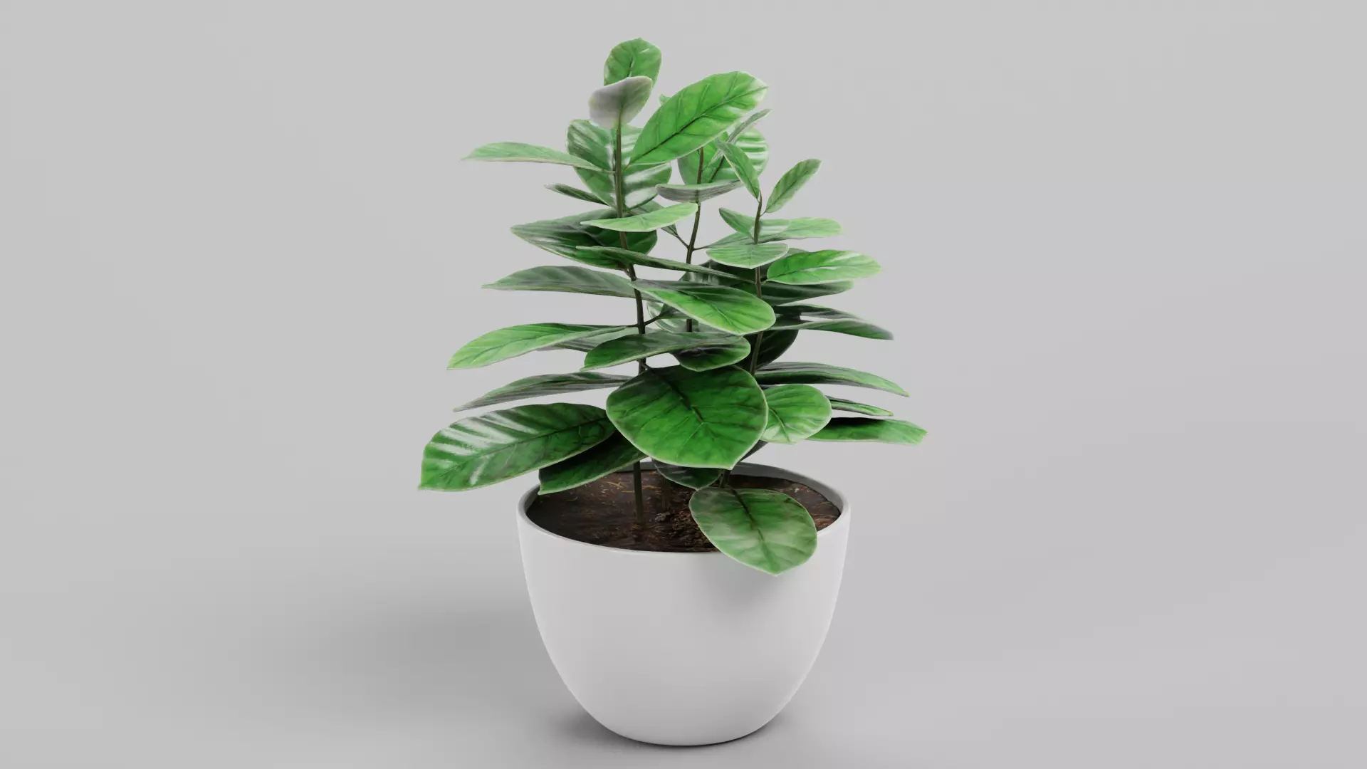 8 Plants in Pots - Indoor Greenery Collection Low-poly 3D model_6