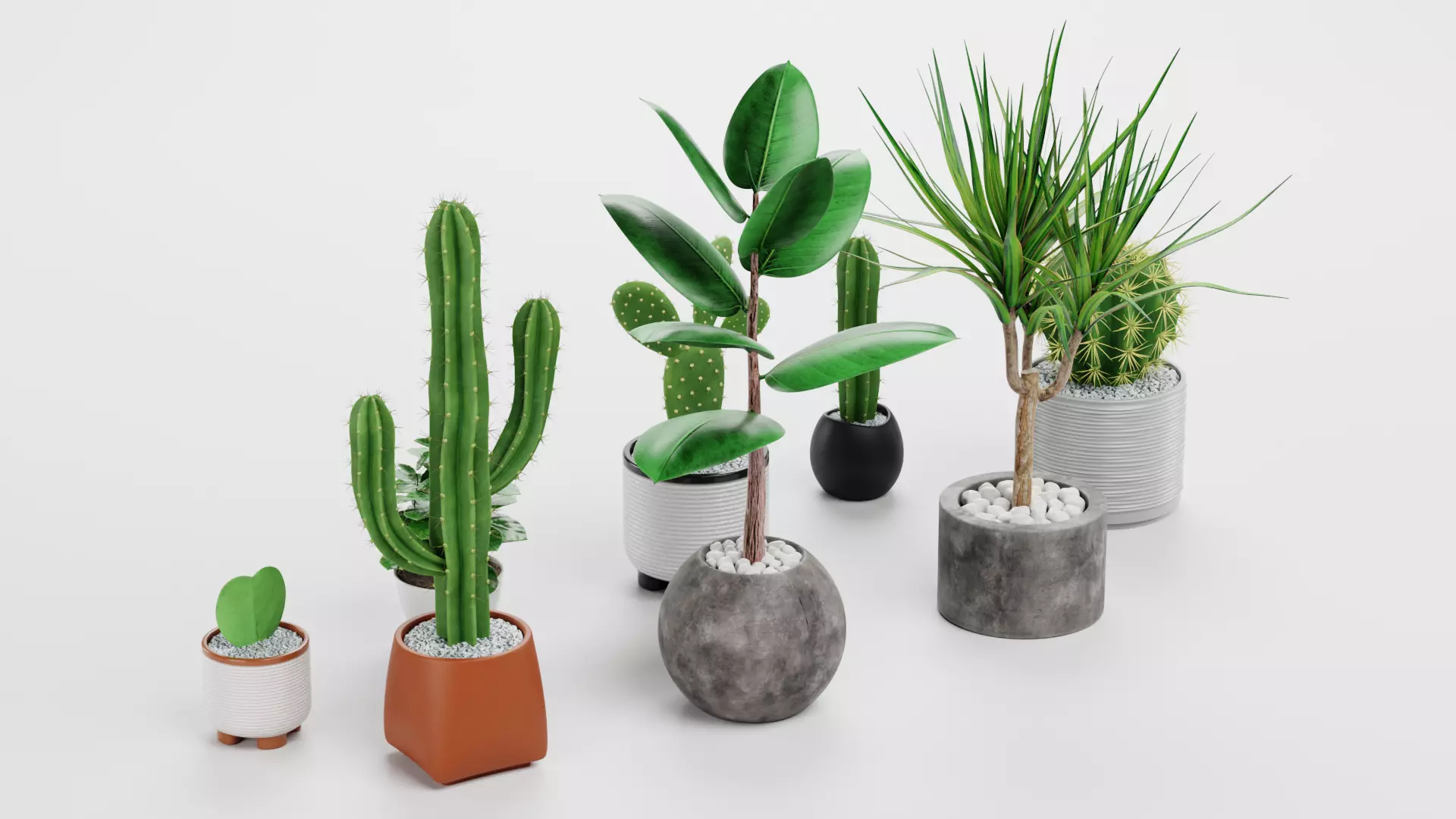 8 Plants in Pots - Indoor Greenery Collection Low-poly 3D model_1