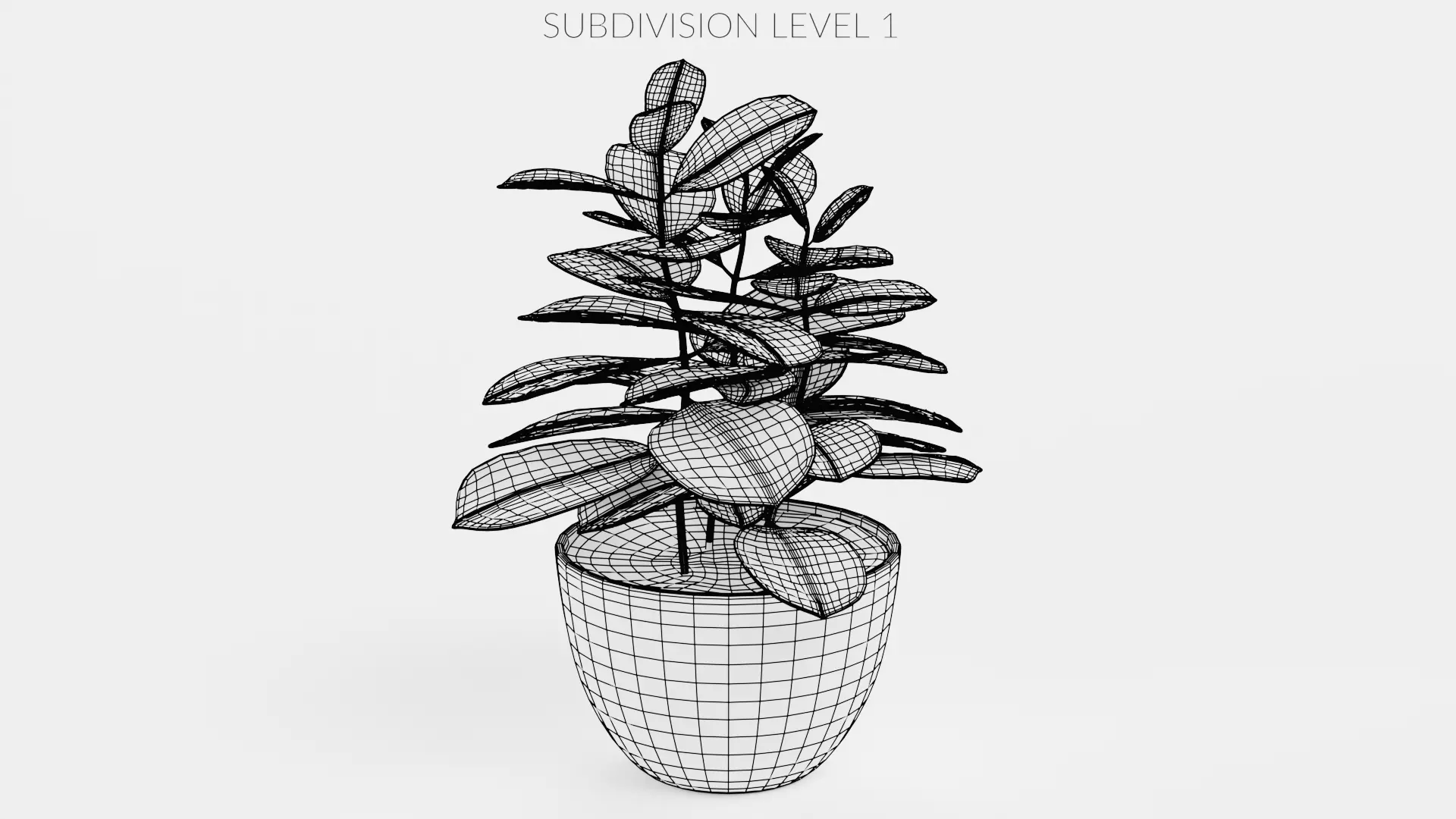 8 Plants in Pots - Indoor Greenery Collection Low-poly 3D model_23