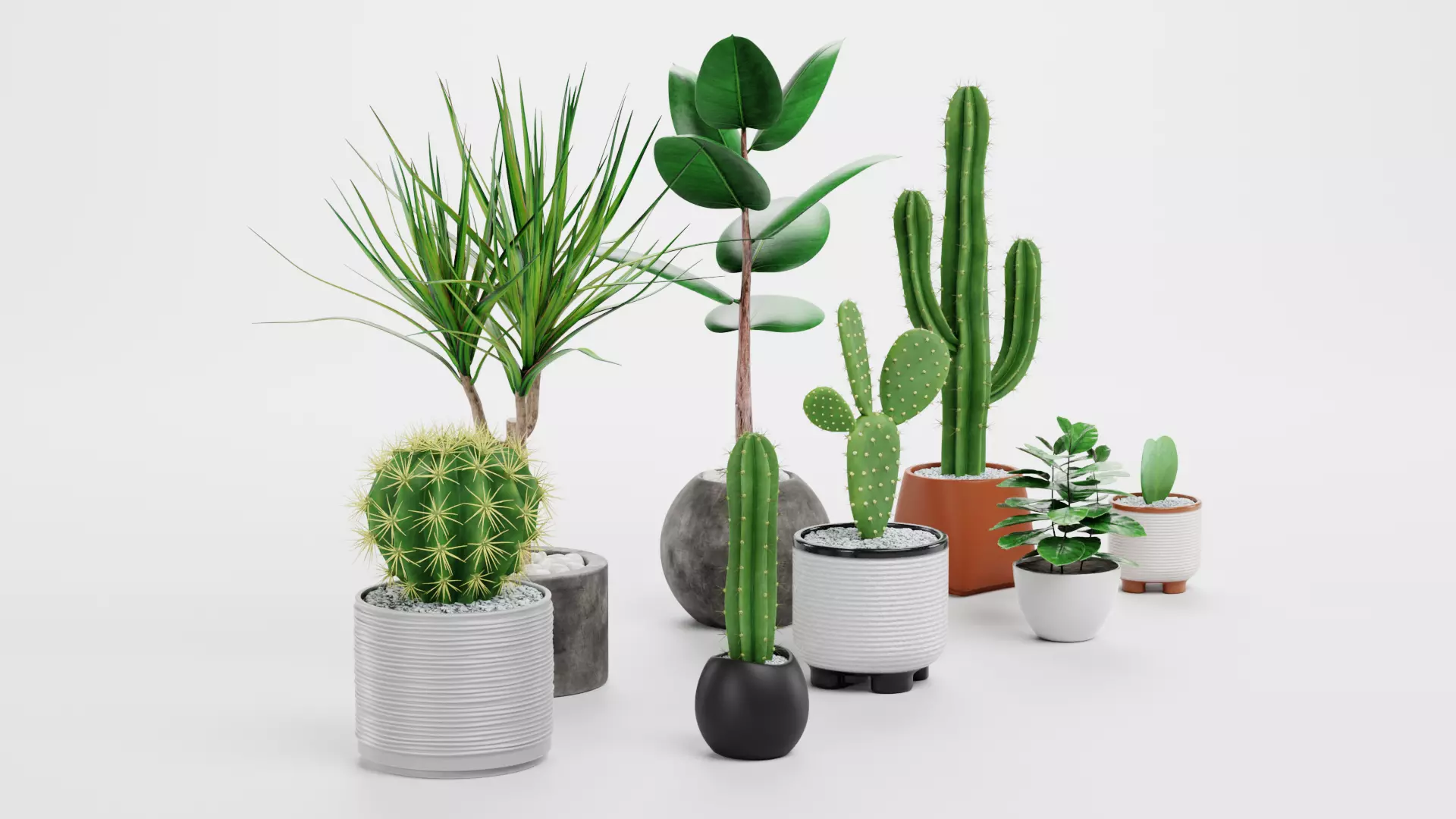 8 Plants in Pots - Indoor Greenery Collection Low-poly 3D model_5