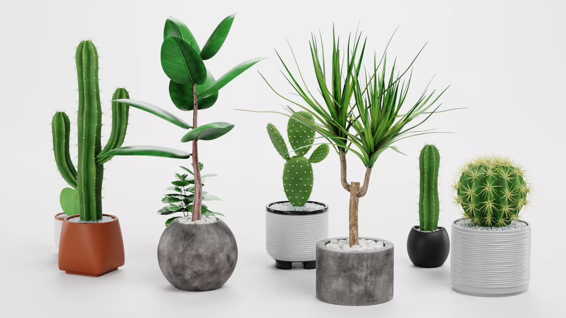 8 Plants in Pots - Indoor Greenery Collection Low-poly 3D model_3