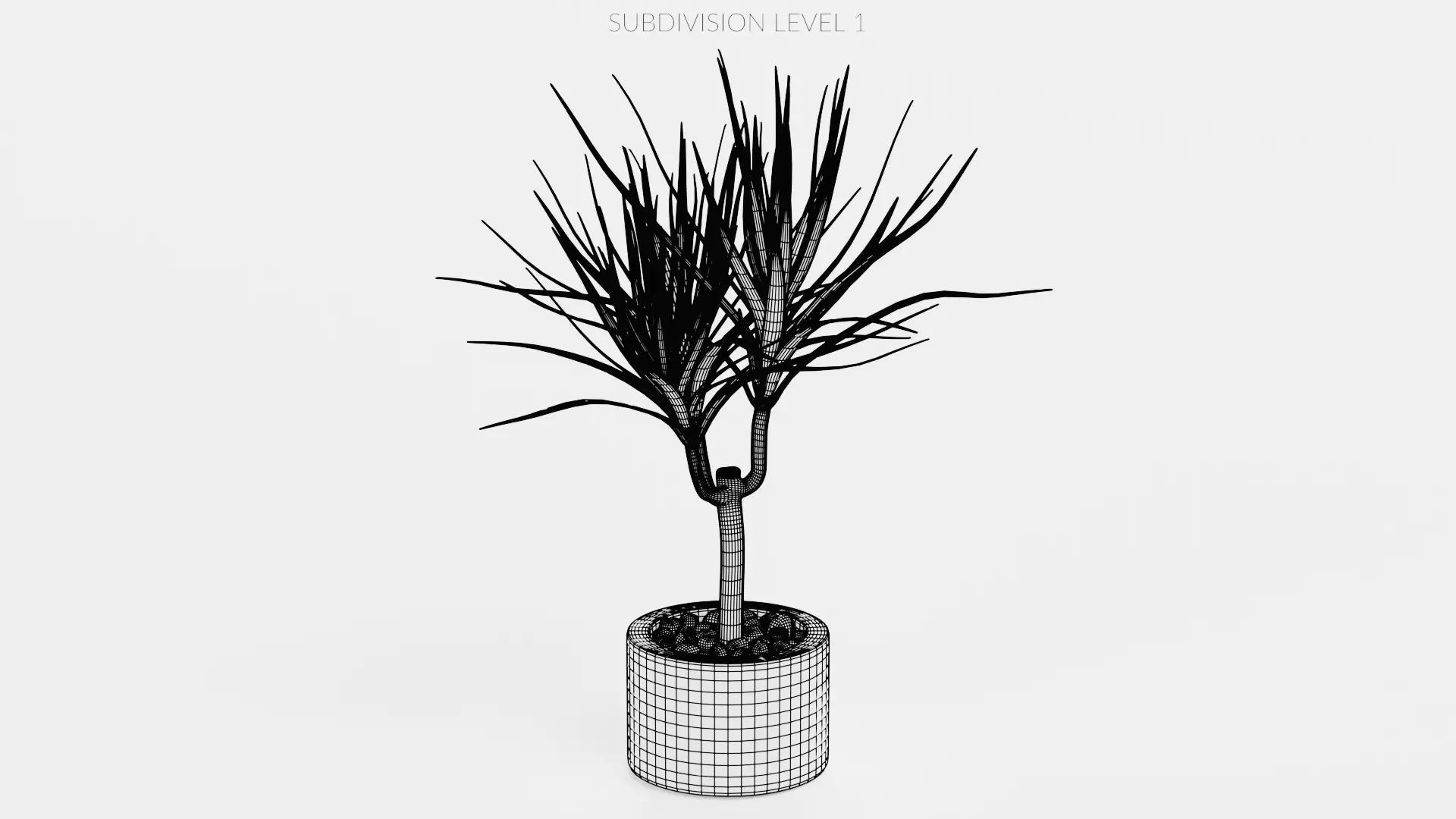 8 Plants in Pots - Indoor Greenery Collection Low-poly 3D model_27