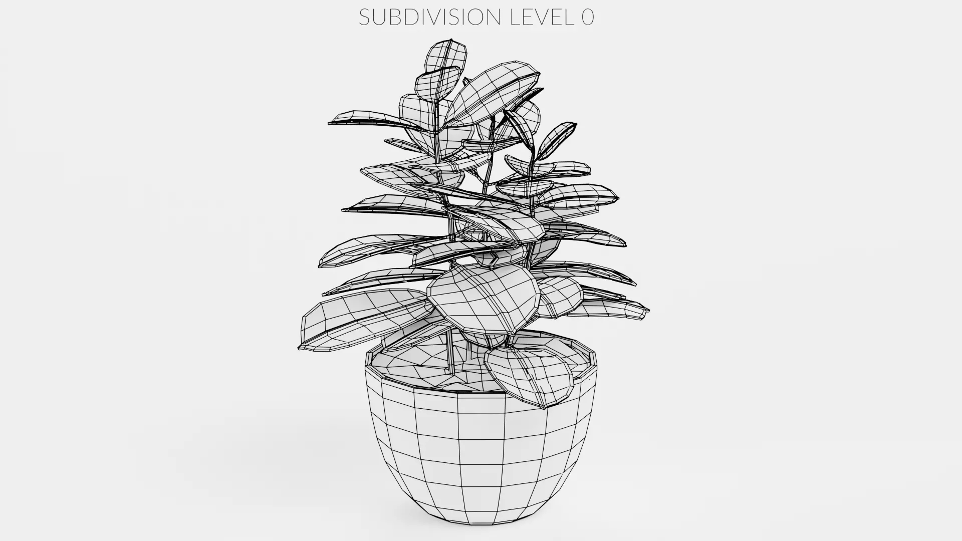 8 Plants in Pots - Indoor Greenery Collection Low-poly 3D model_22
