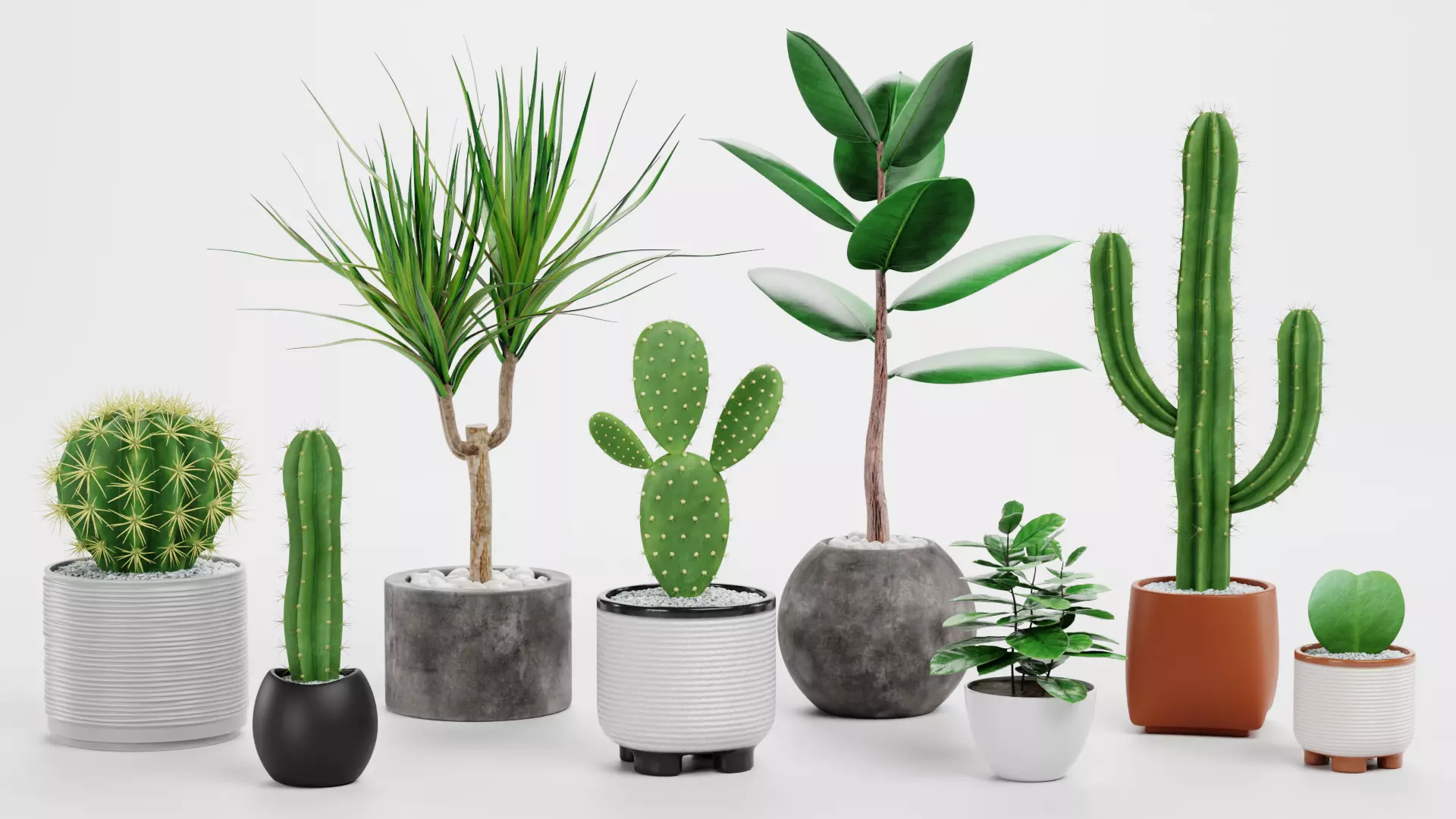 8 Plants in Pots - Indoor Greenery Collection Low-poly 3D model_0