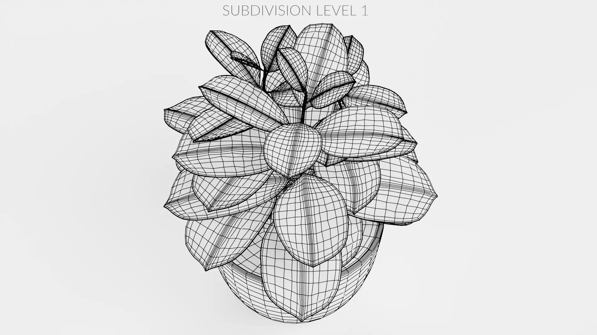 8 Plants in Pots - Indoor Greenery Collection Low-poly 3D model_25