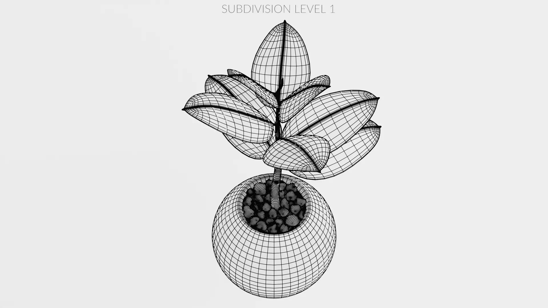 8 Plants in Pots - Indoor Greenery Collection Low-poly 3D model_33