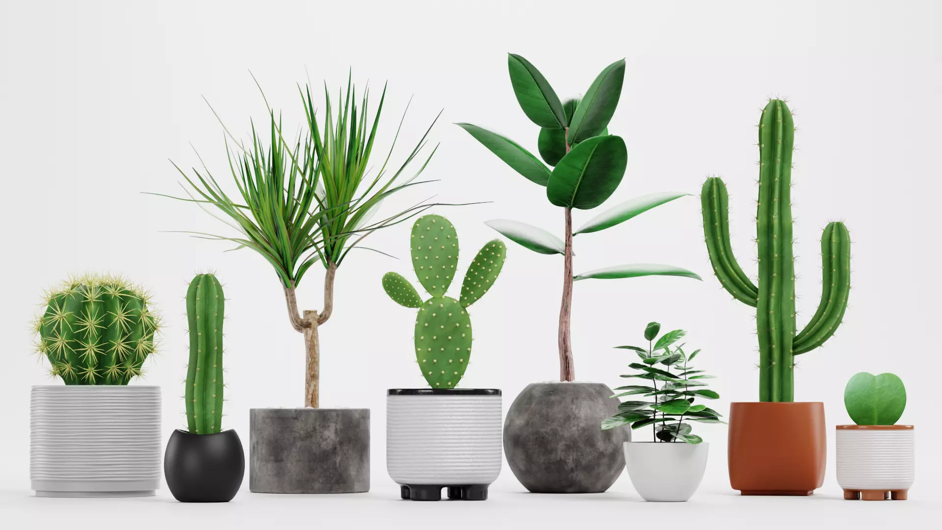 8 Plants in Pots - Indoor Greenery Collection Low-poly 3D model_2