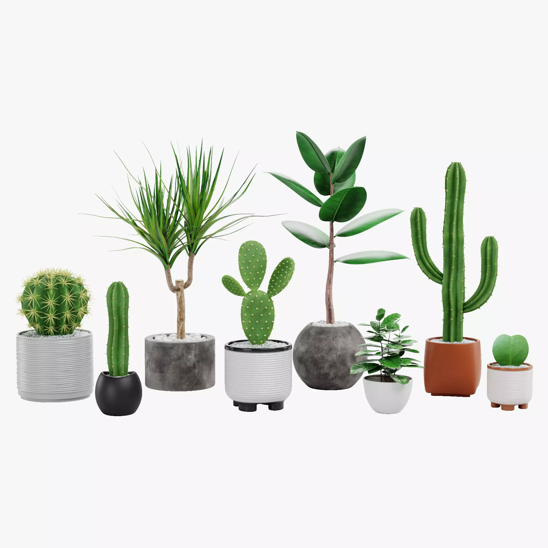 8 Plants in Pots - Indoor Greenery Collection Low-poly 3D model_54