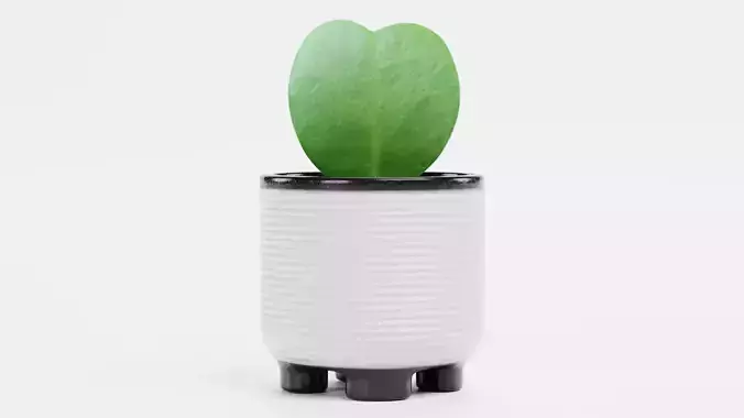 Heart Leaf Hoya Succulent in Pot Low-poly 3D model 2