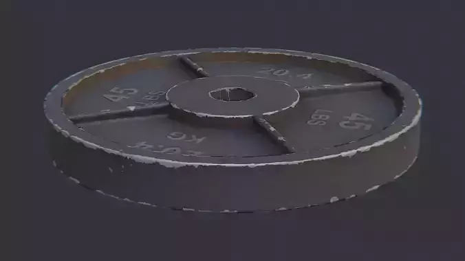 Metal Gym Weight Plate Disk 25 lbs