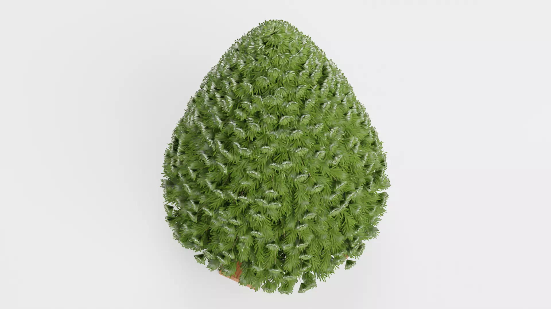 Christmas Tree - Plain Low-poly 3D model_5