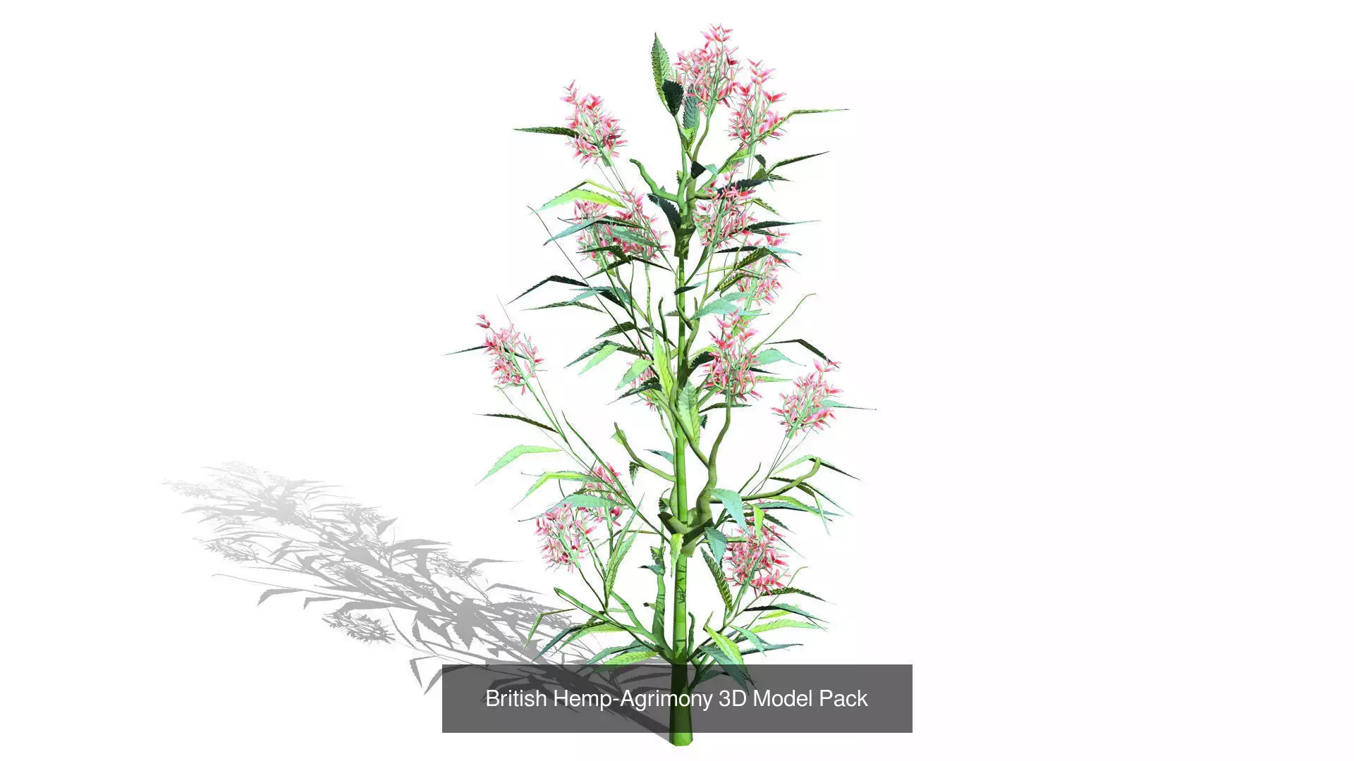 British Vegetation 3D Asset Pack 3D Model Collection_73