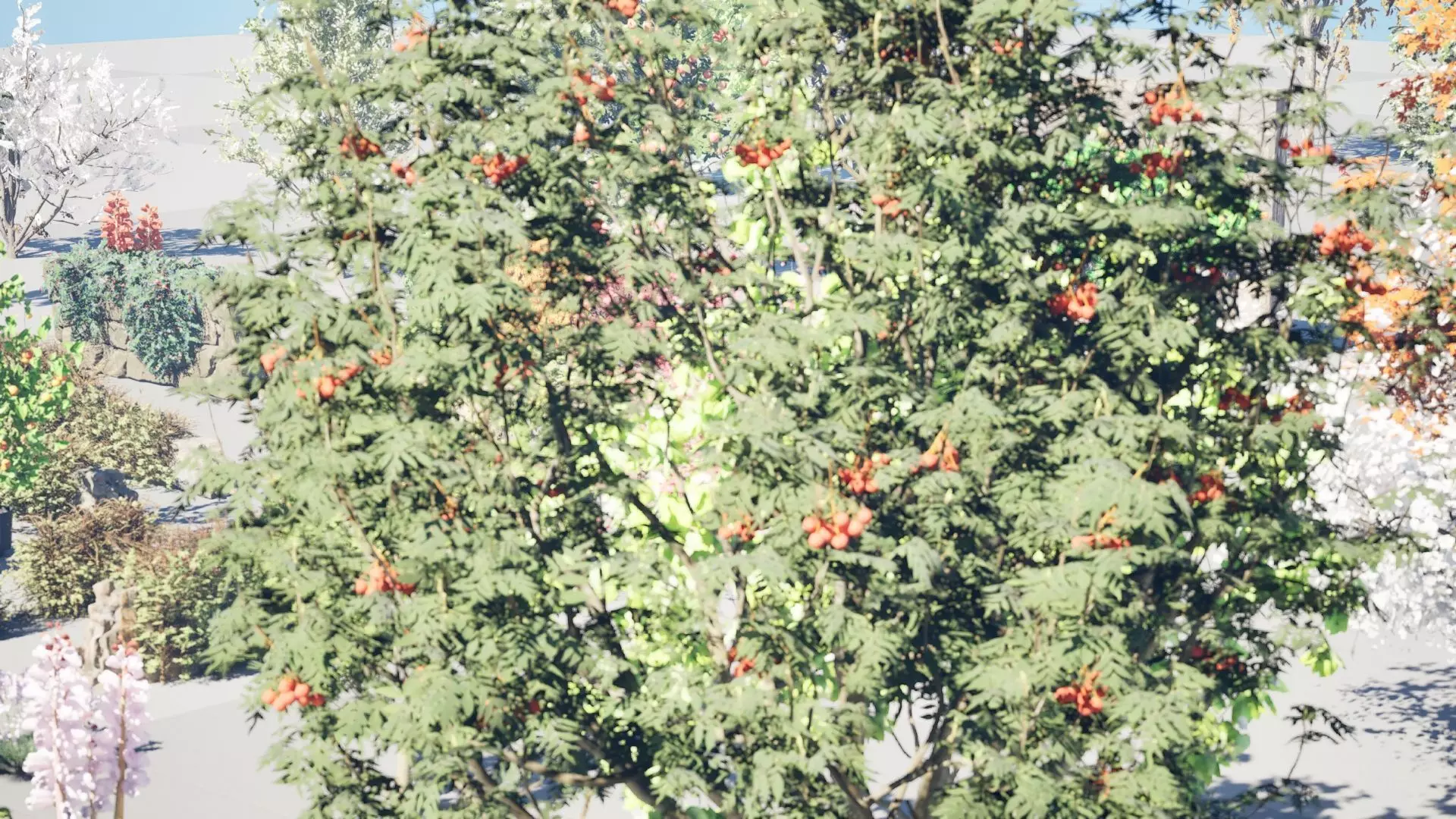 British Vegetation 3D Asset Pack 3D Model Collection_32