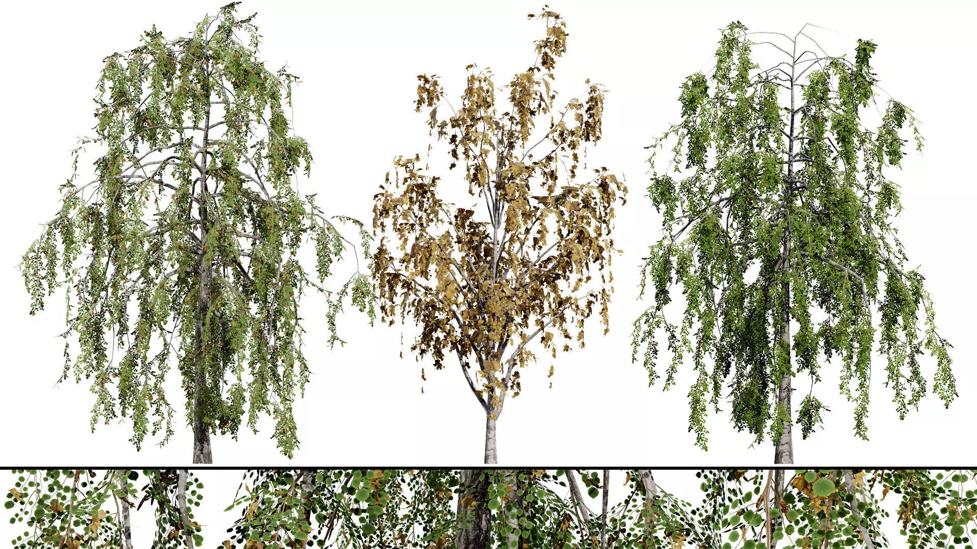 British Vegetation 3D Asset Pack 3D Model Collection_88