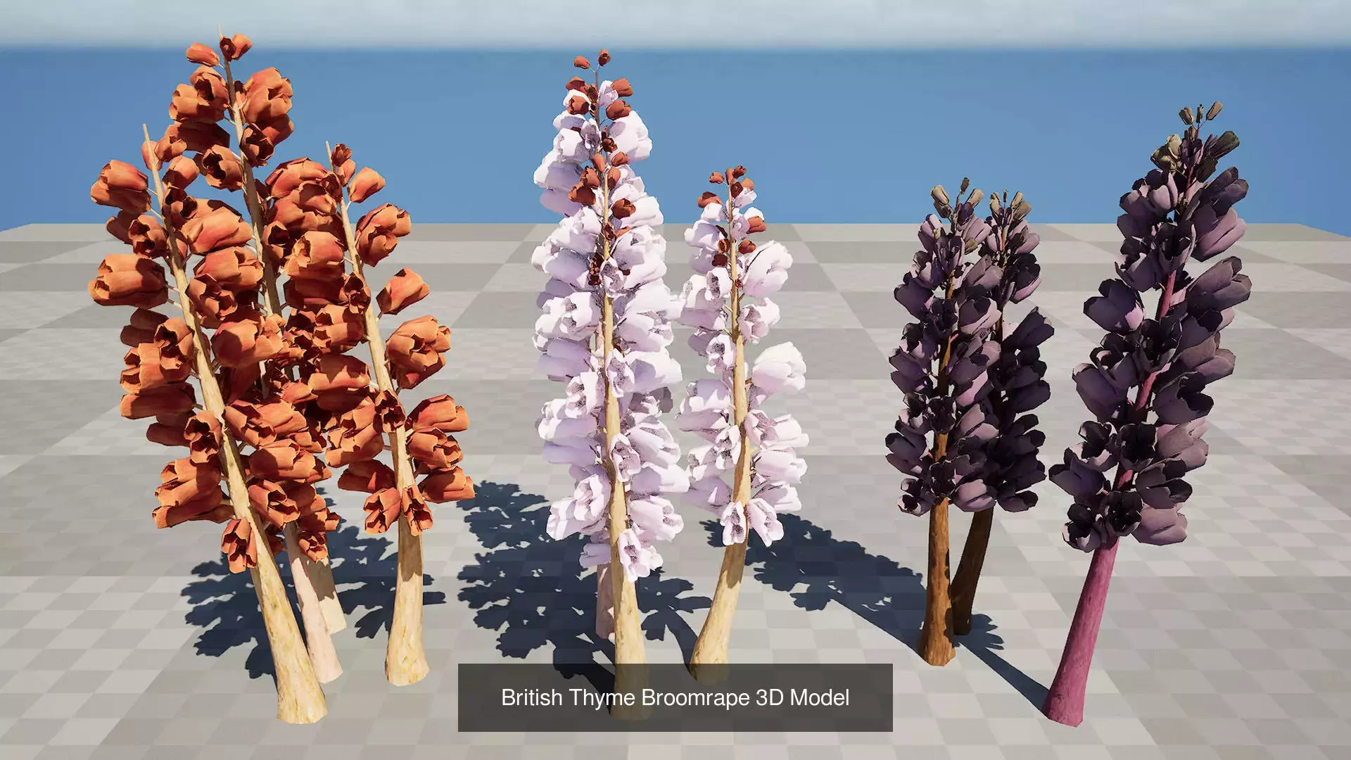 British Vegetation 3D Asset Pack 3D Model Collection_49