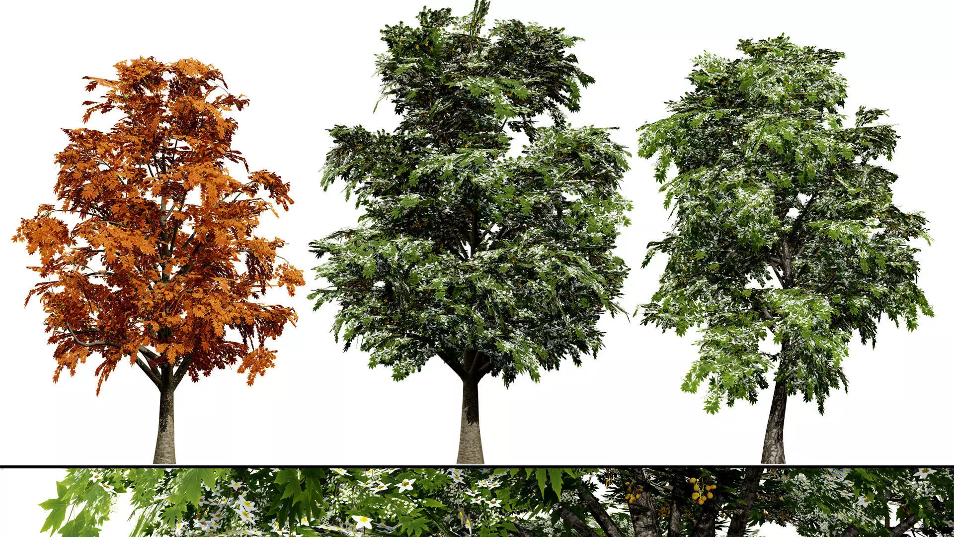 British Vegetation 3D Asset Pack 3D Model Collection_82