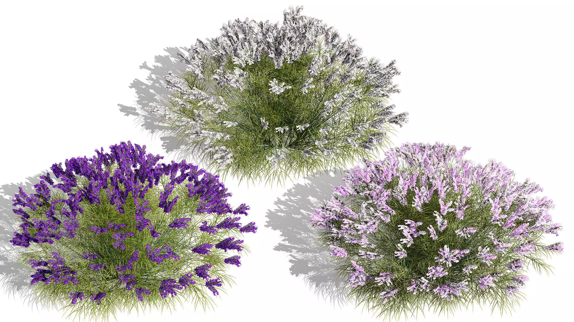 British Vegetation 3D Asset Pack 3D Model Collection_84