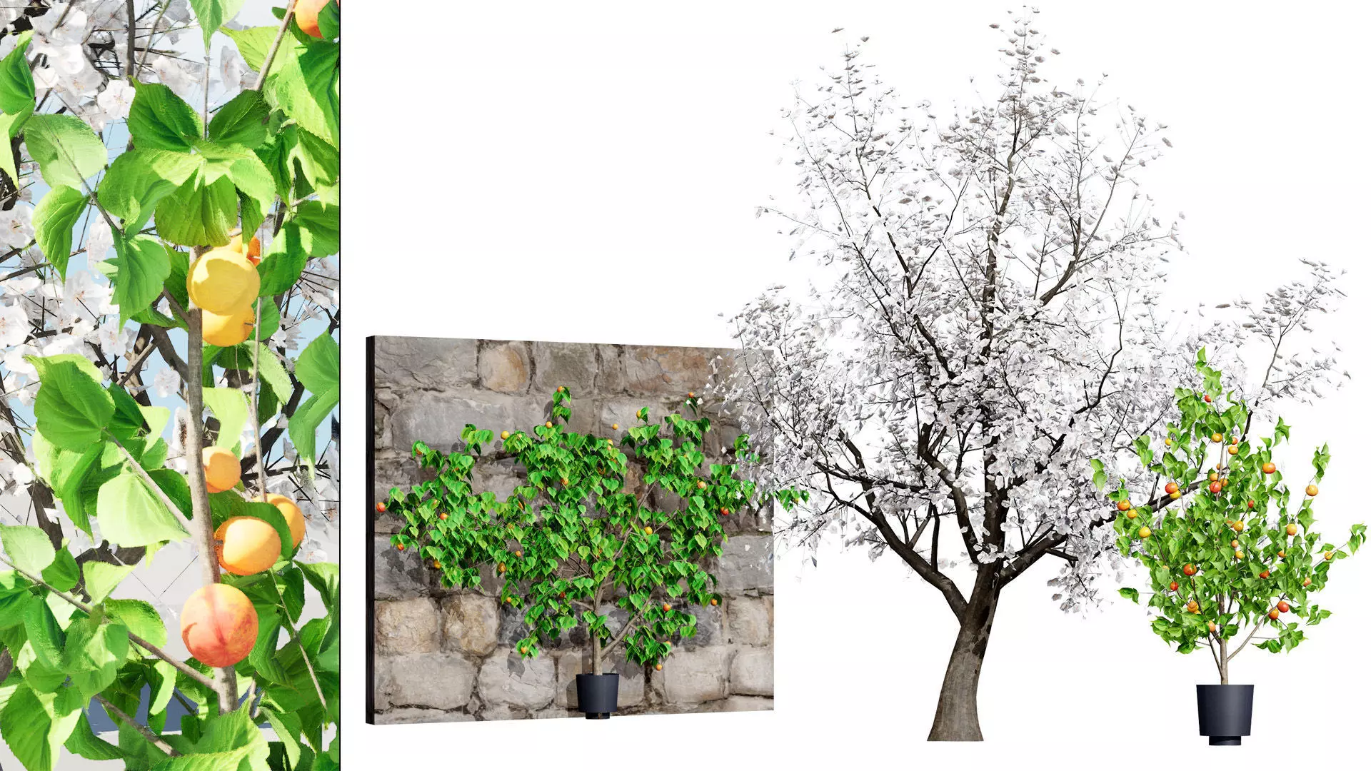 British Vegetation 3D Asset Pack 3D Model Collection_44