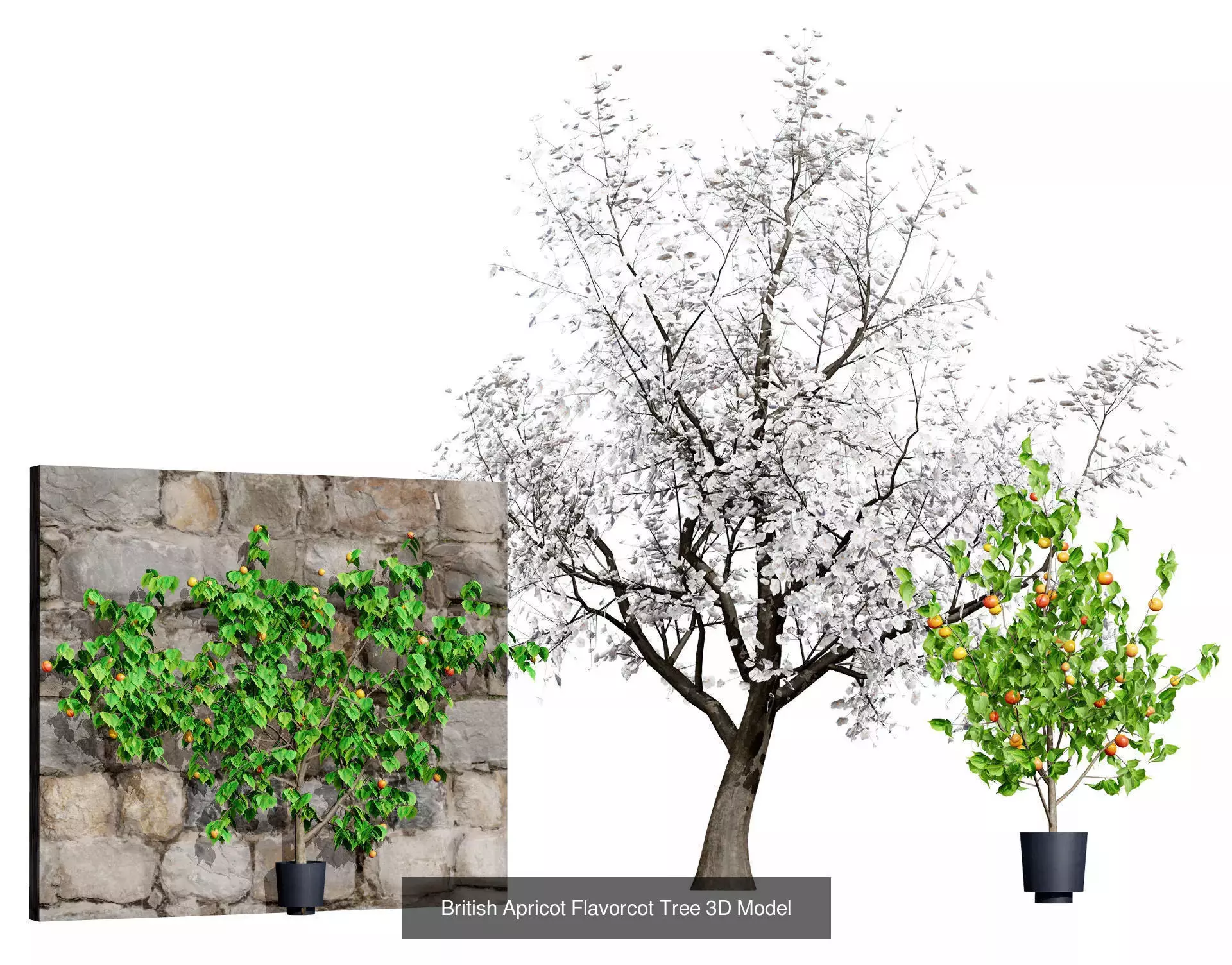 British Vegetation 3D Asset Pack 3D Model Collection_65