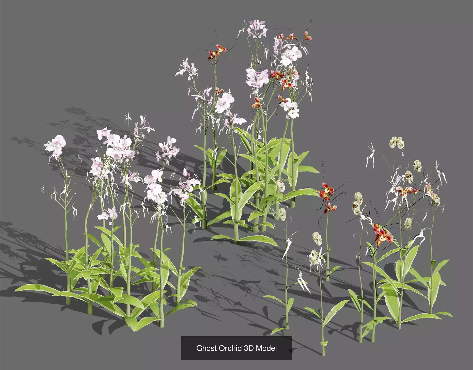 British Vegetation 3D Asset Pack 3D Model Collection_69