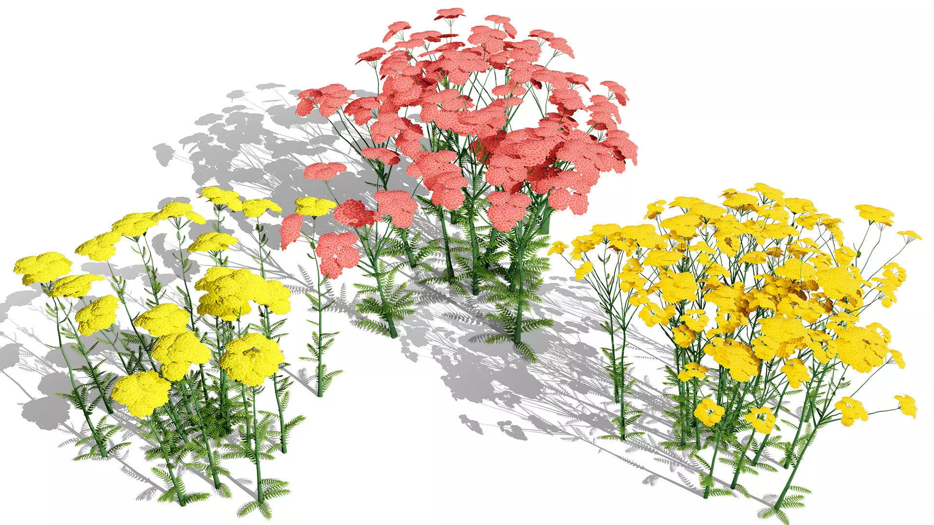 British Vegetation 3D Asset Pack 3D Model Collection_86