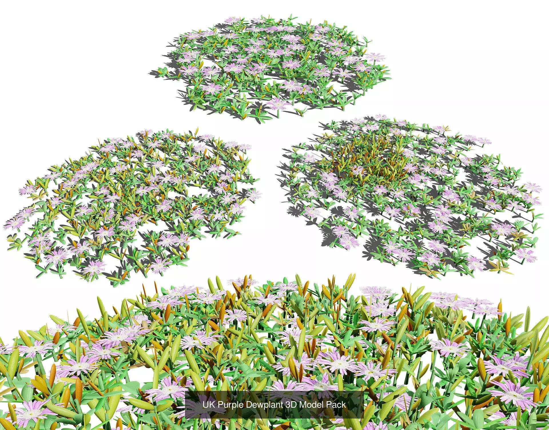 British Vegetation 3D Asset Pack 3D Model Collection_37