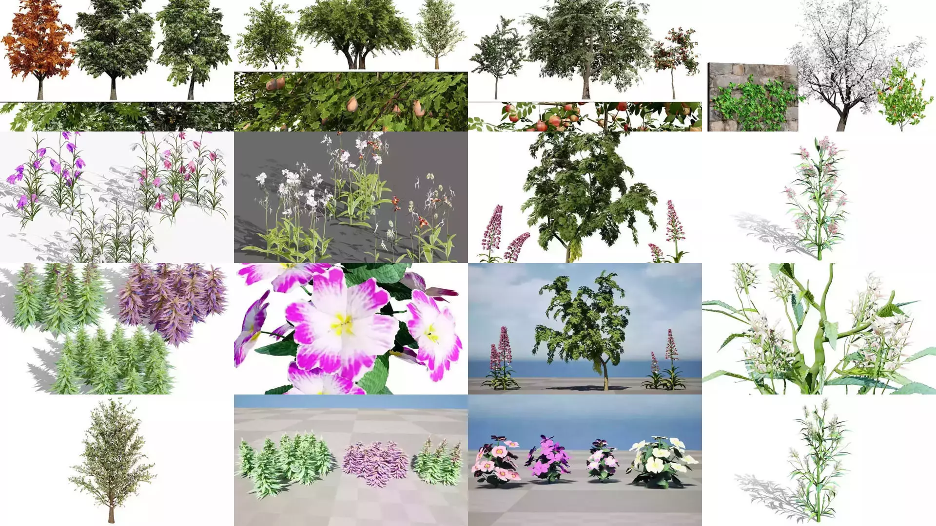 British Vegetation 3D Asset Pack 3D Model Collection_25
