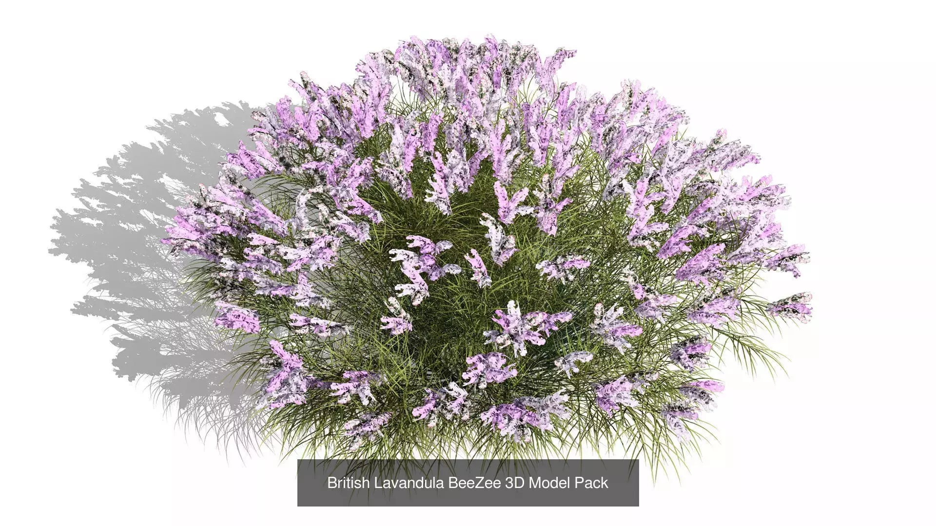 British Vegetation 3D Asset Pack 3D Model Collection_35