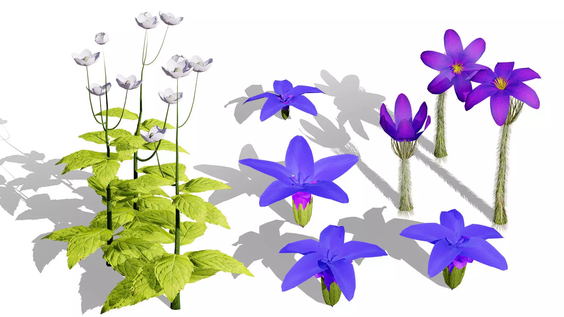 British Vegetation 3D Asset Pack 3D Model Collection_68