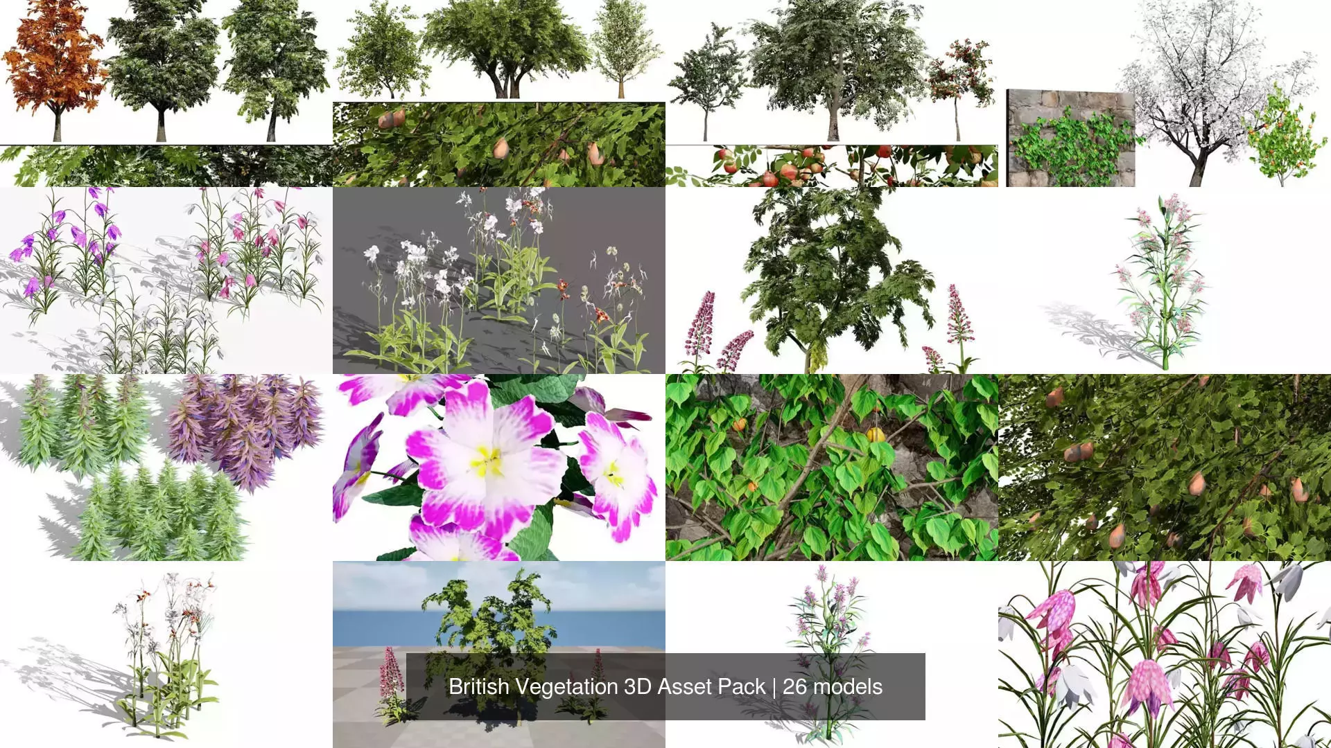 British Vegetation 3D Asset Pack 3D Model Collection_26