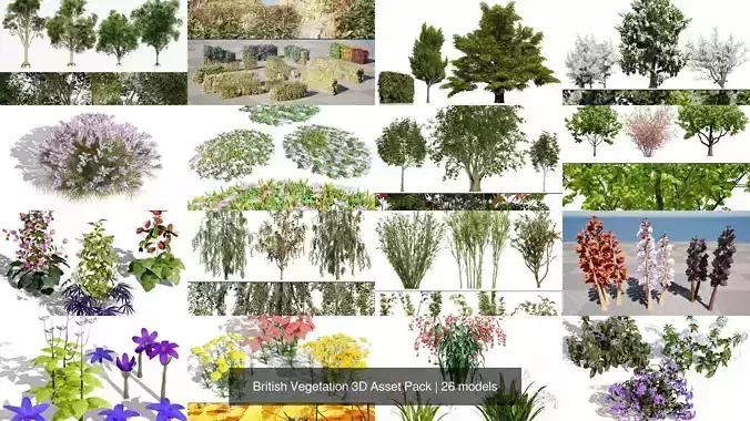 British Vegetation 3D Asset Pack 3D Model Collection British Vegetation 3D Asset Pack 3D Model Collection