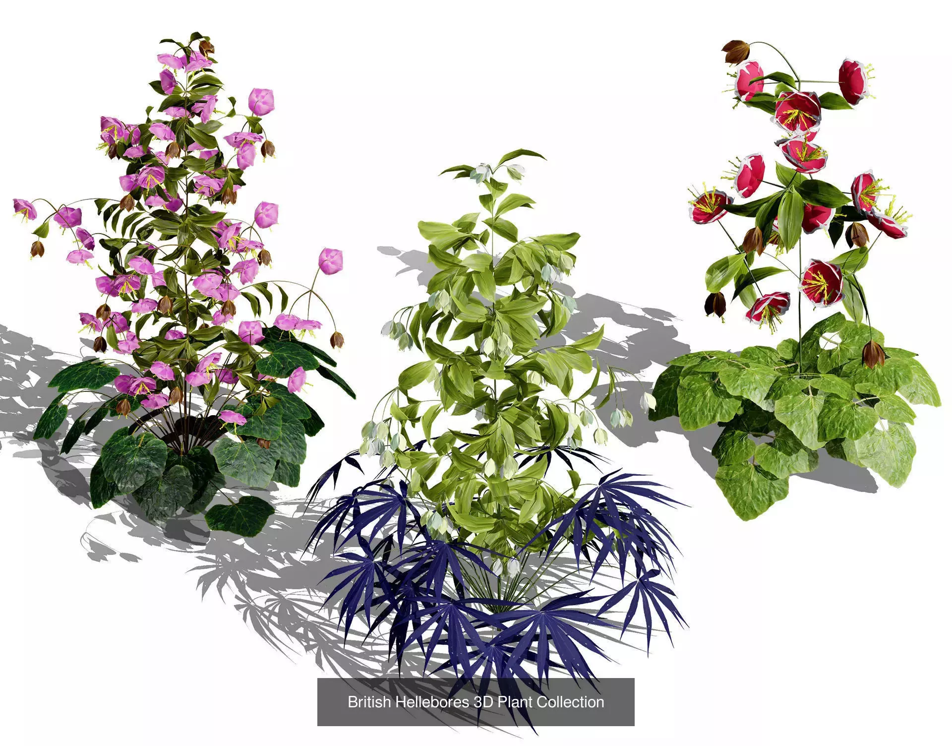 British Vegetation 3D Asset Pack 3D Model Collection_43