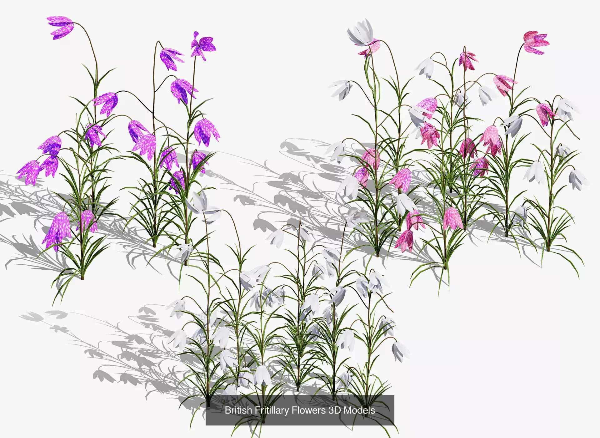 British Vegetation 3D Asset Pack 3D Model Collection_67