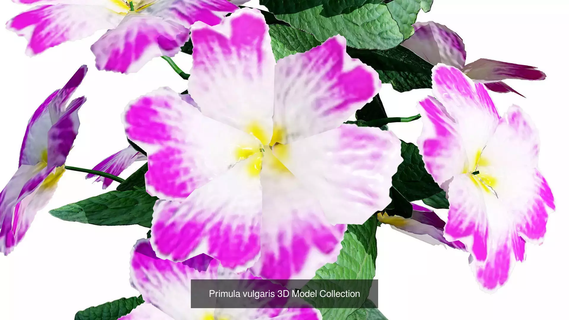 British Vegetation 3D Asset Pack 3D Model Collection_77