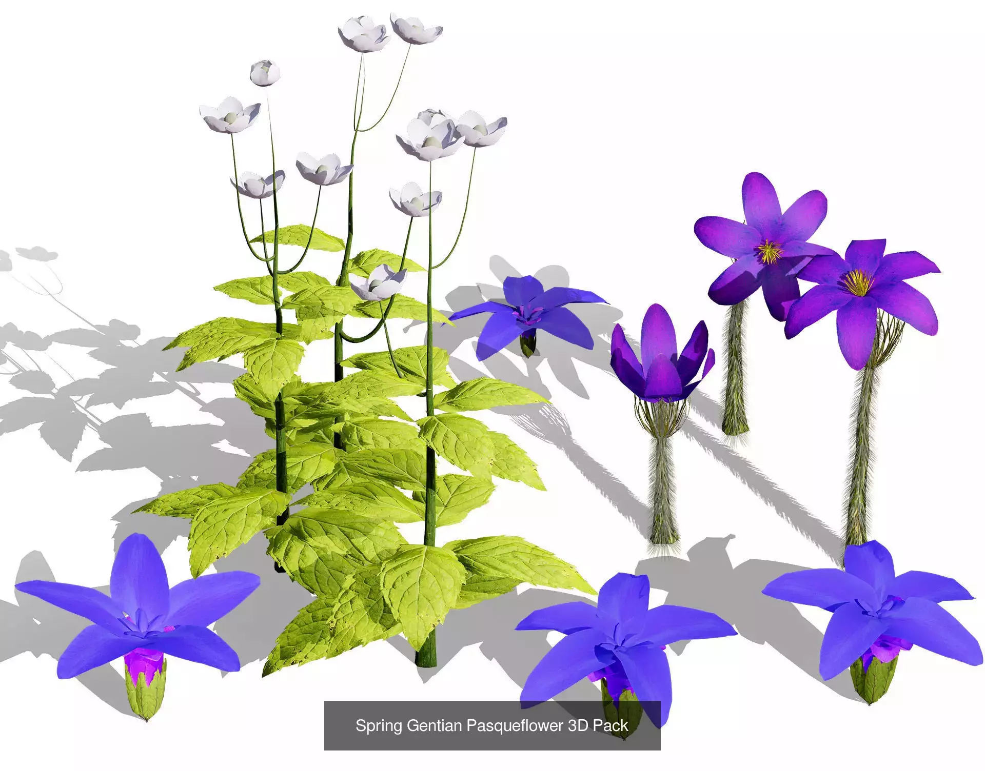 British Vegetation 3D Asset Pack 3D Model Collection_51