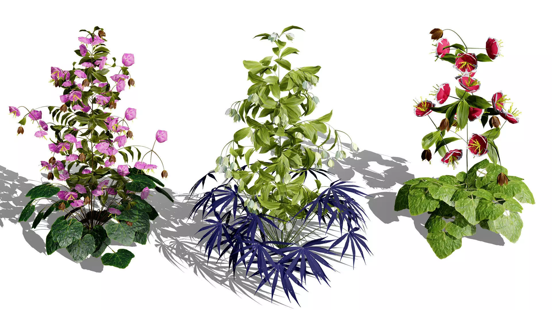 British Vegetation 3D Asset Pack 3D Model Collection_50