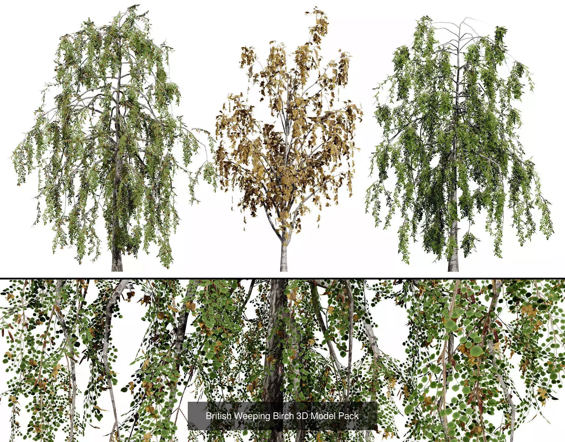 British Vegetation 3D Asset Pack 3D Model Collection_45