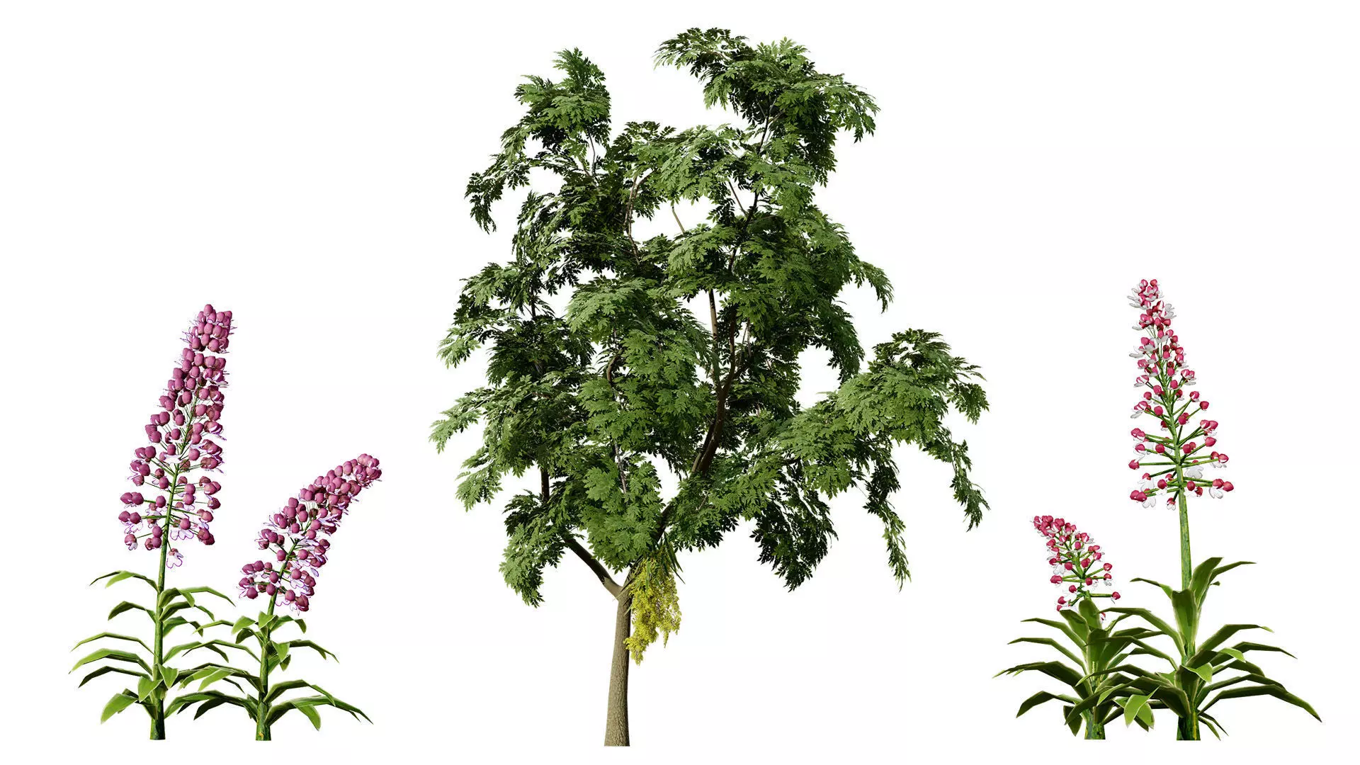 British Vegetation 3D Asset Pack 3D Model Collection_56