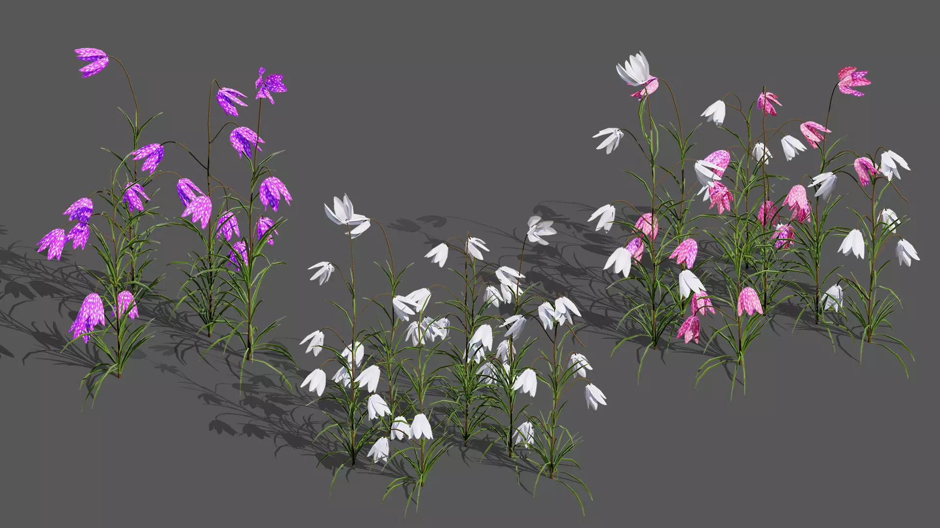 British Vegetation 3D Asset Pack 3D Model Collection_48