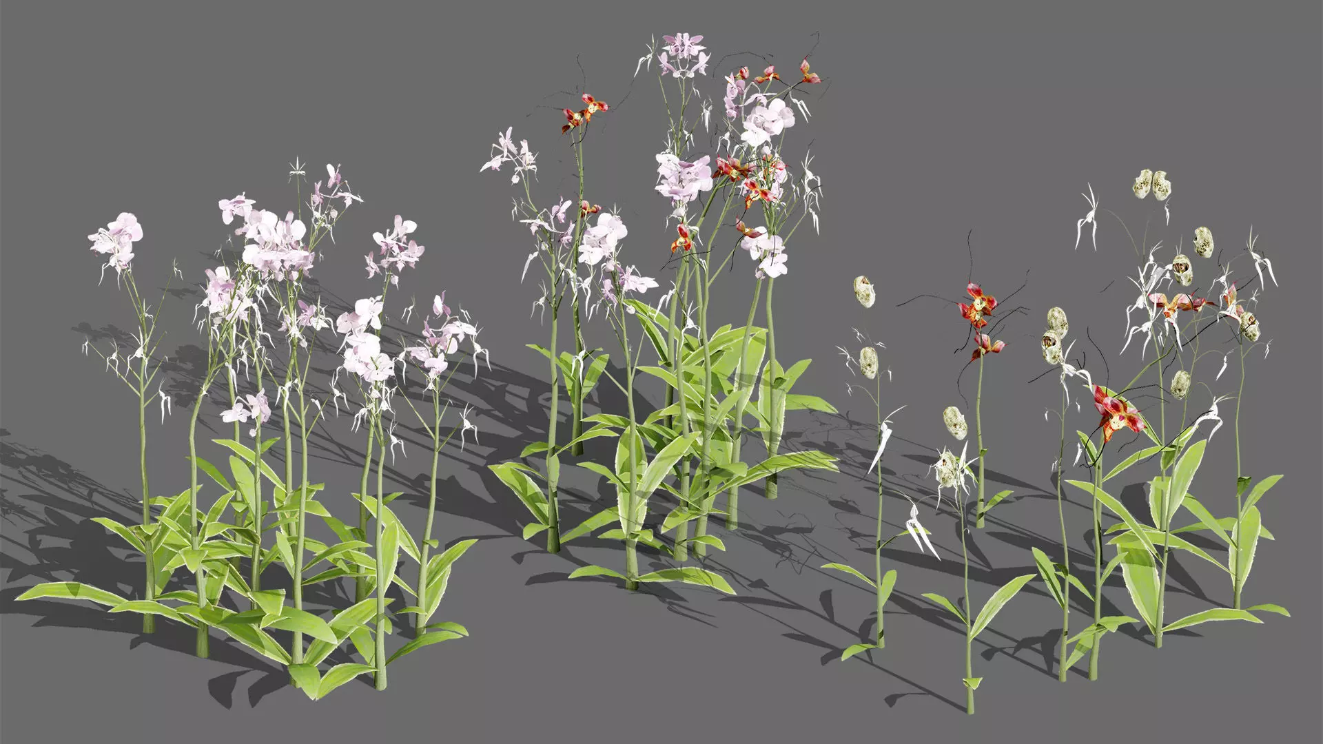 British Vegetation 3D Asset Pack 3D Model Collection_62