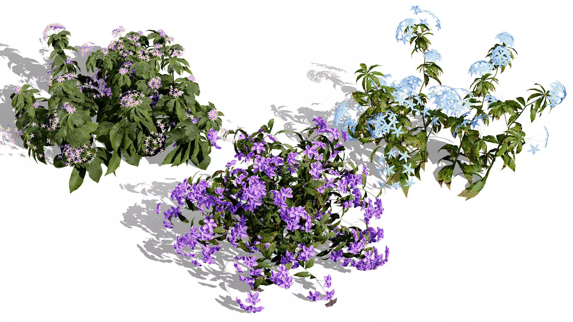 British Vegetation 3D Asset Pack 3D Model Collection_46