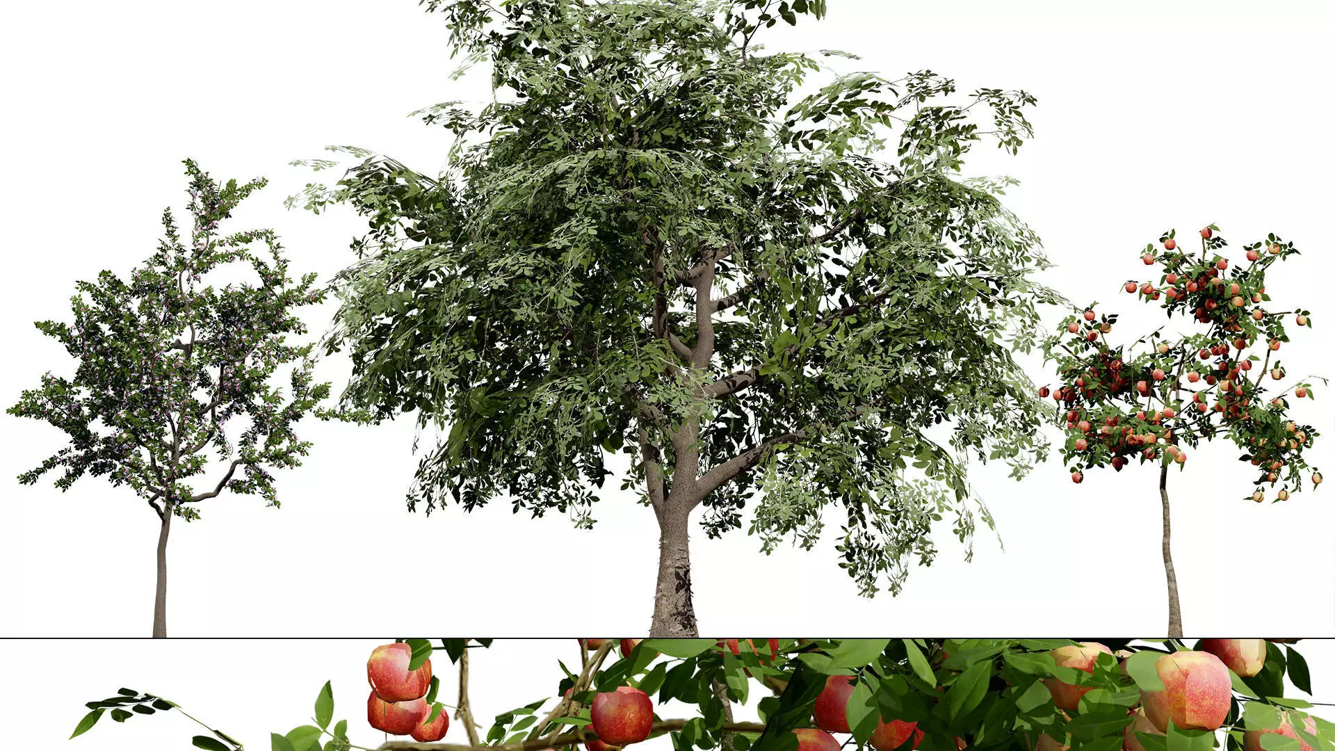 British Vegetation 3D Asset Pack 3D Model Collection_85