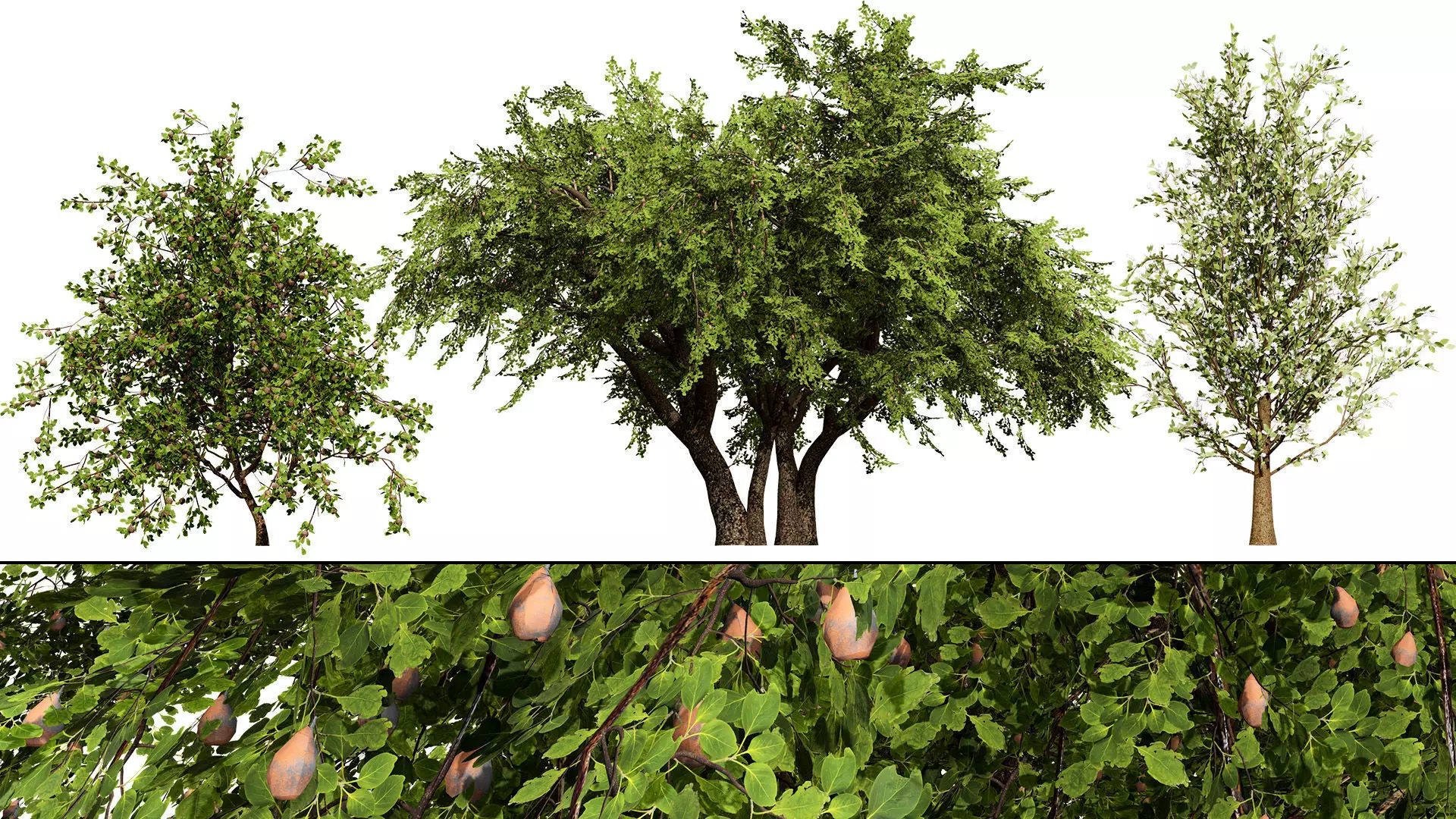 British Vegetation 3D Asset Pack 3D Model Collection_87