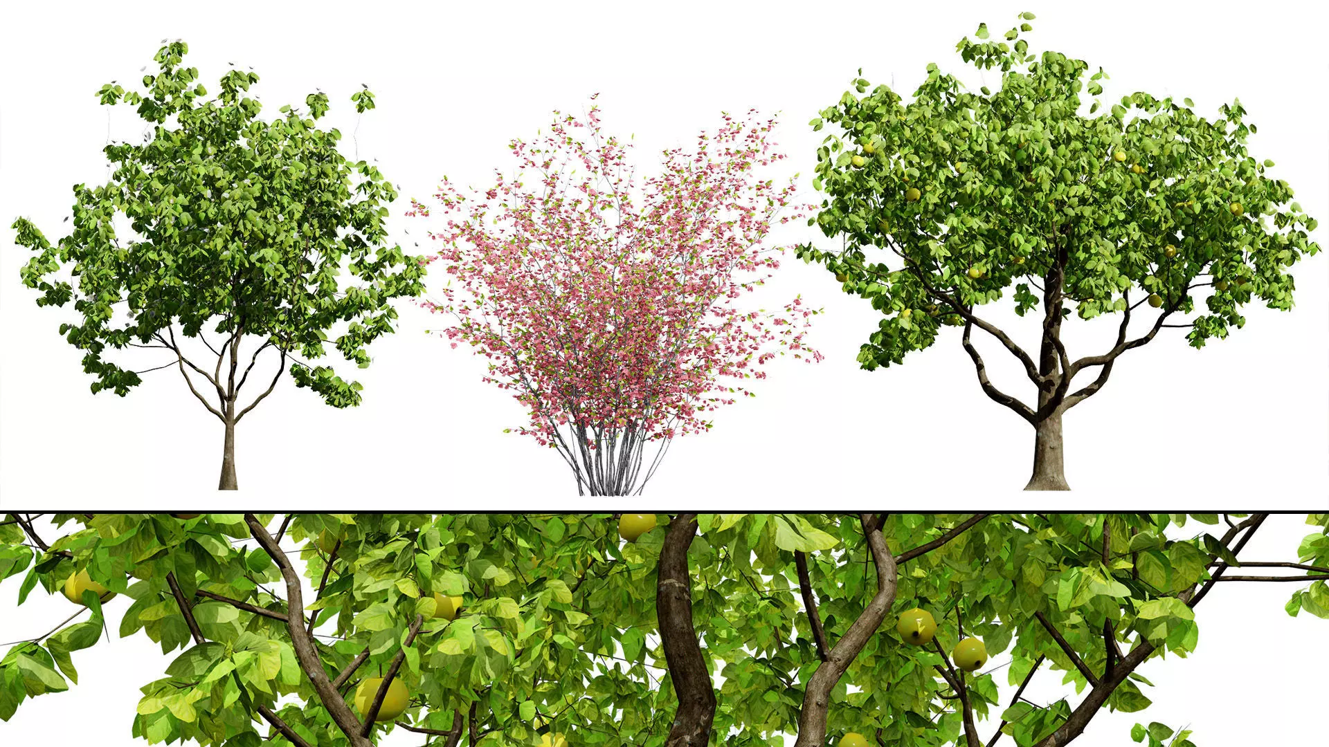 British Vegetation 3D Asset Pack 3D Model Collection_83