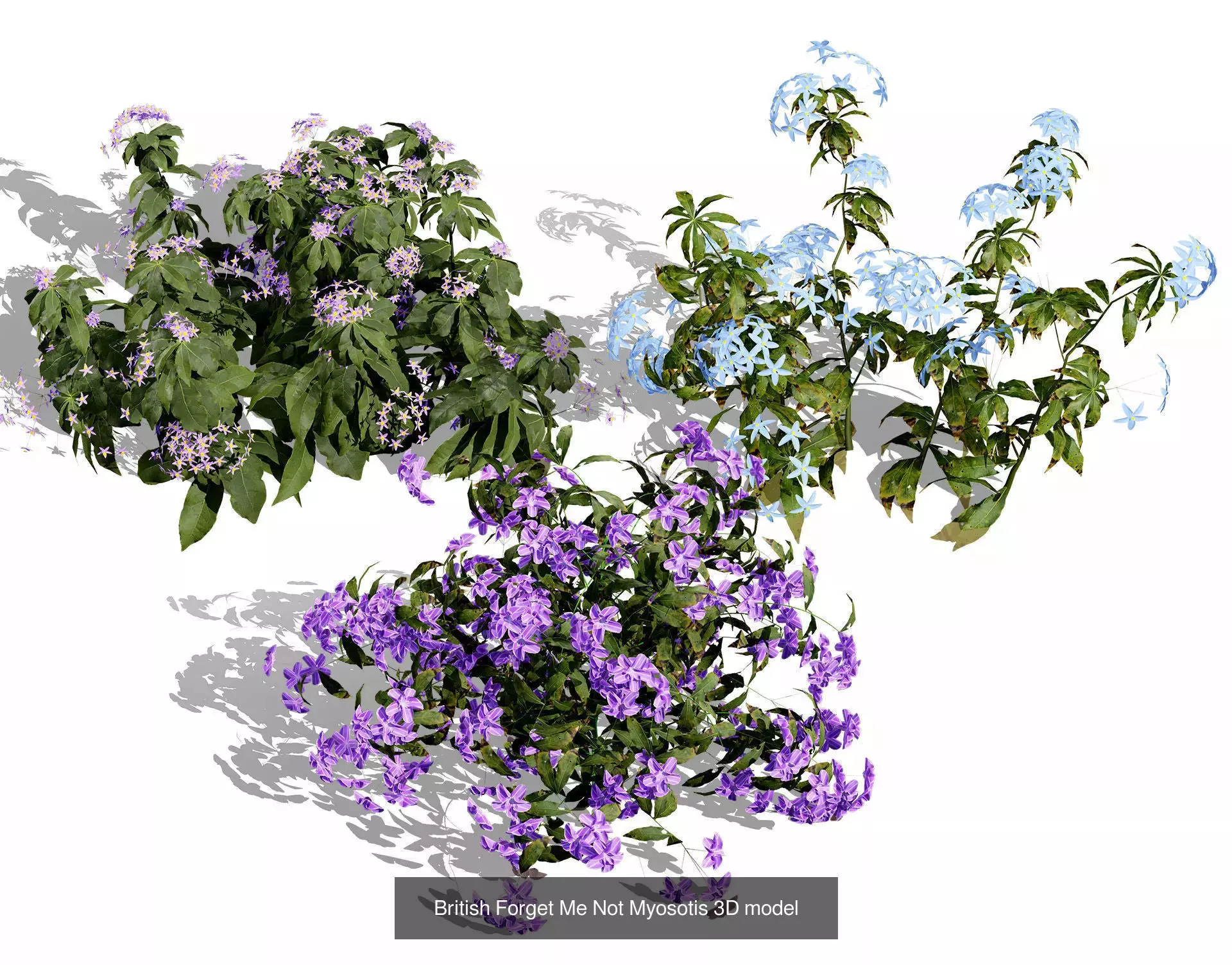 British Vegetation 3D Asset Pack 3D Model Collection_57