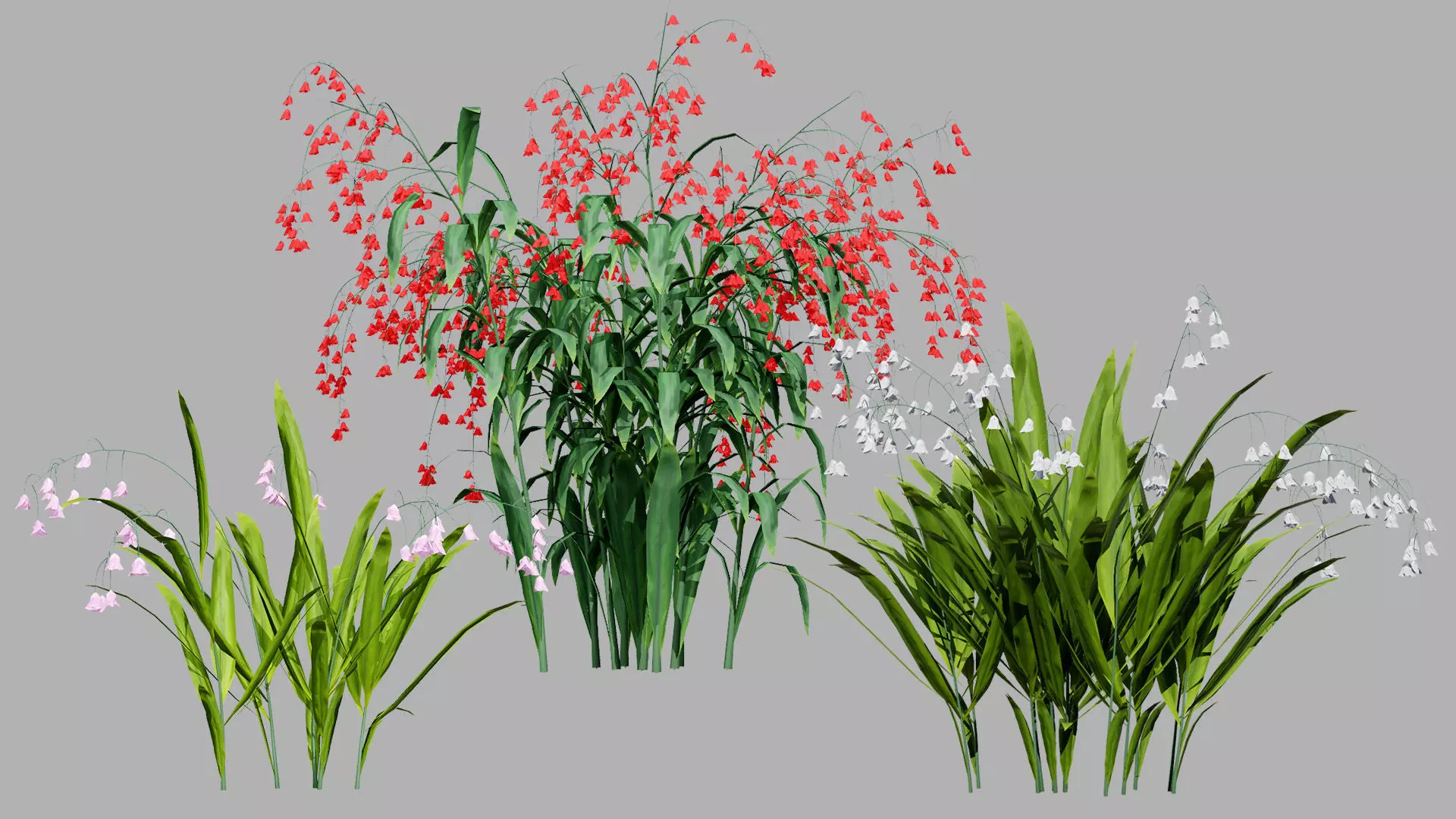 British Vegetation 3D Asset Pack 3D Model Collection_66