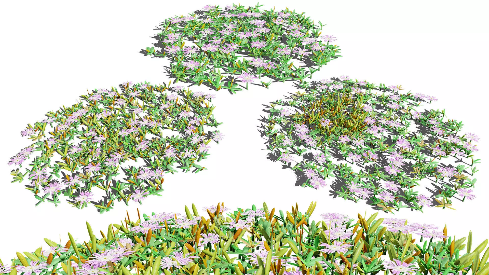 British Vegetation 3D Asset Pack 3D Model Collection_89